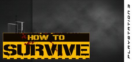 How to Survive — steamgrid