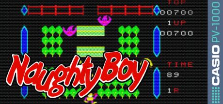 Naughty Boy — steamgrid