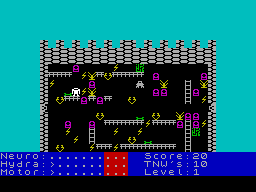 Wombat Combat — ss (WOR)