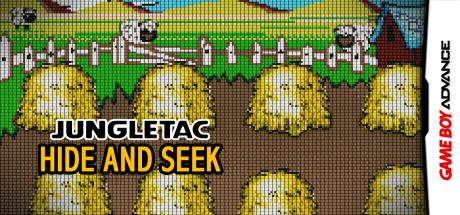 Hide And Seek — steamgrid