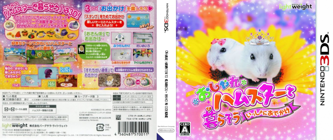 Oshare Hamster to Kurasou - Issho ni Odekake — box-texture (JP)