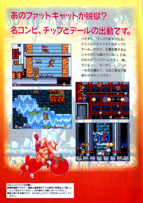 Squirrel King — box-2D-back (TW)