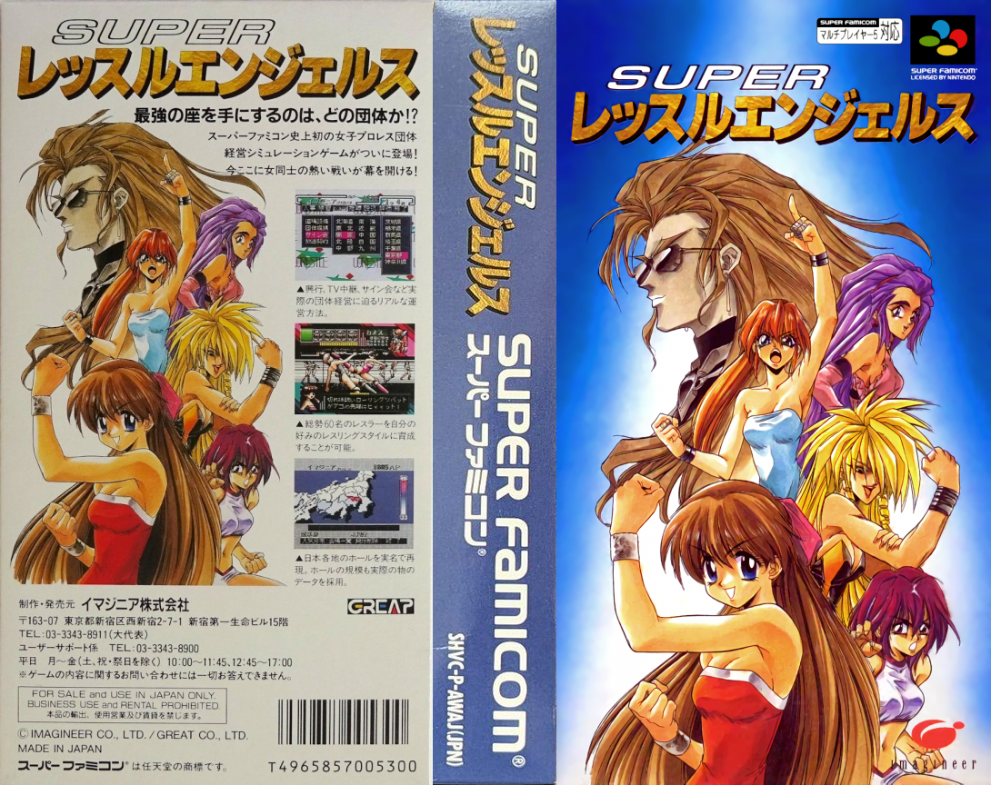 Super Wrestle Angels — box-texture (JP)