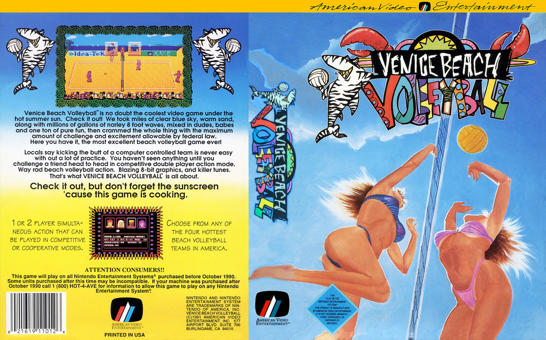Venice Beach Volleyball — box-texture (US)