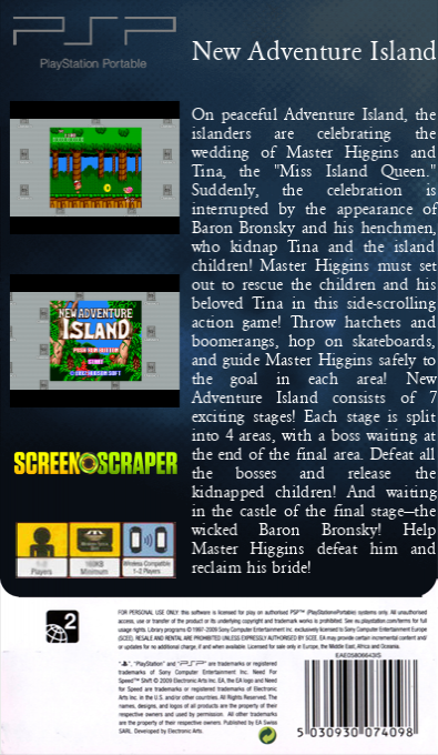 New Adventure Island — box-2D-back (SS)