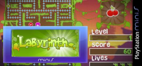 Labyrinth — steamgrid