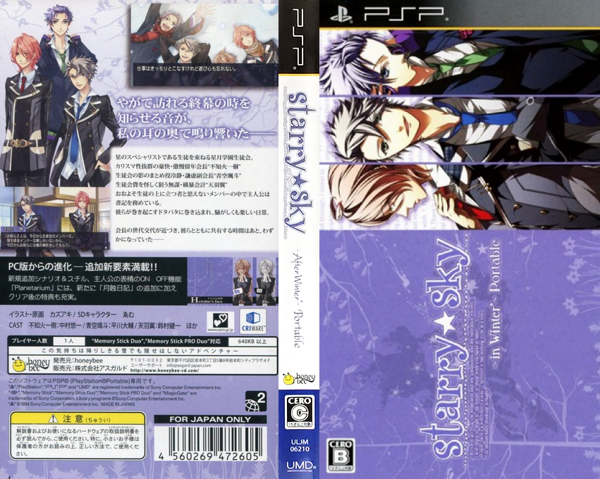 Starry Sky - In Winter — box-texture (JP)