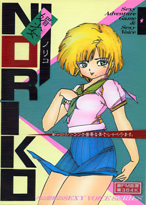 Bishoujo Noriko box art