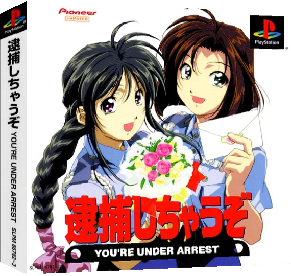 Taiho Shichauzo - You're Under Arrest — box-3D (ASI)