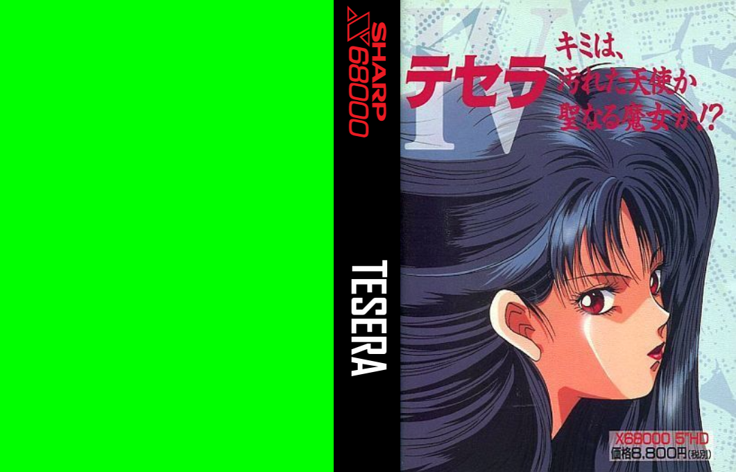 Tesera — box-texture (JP)