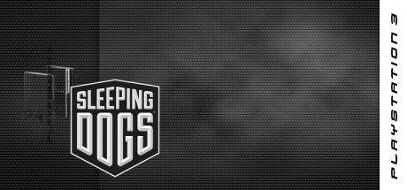 Sleeping Dogs — steamgrid