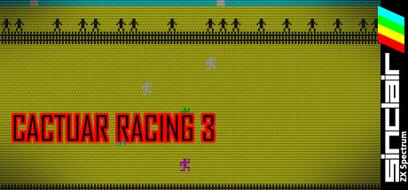 Cactuar Racing 3 — steamgrid