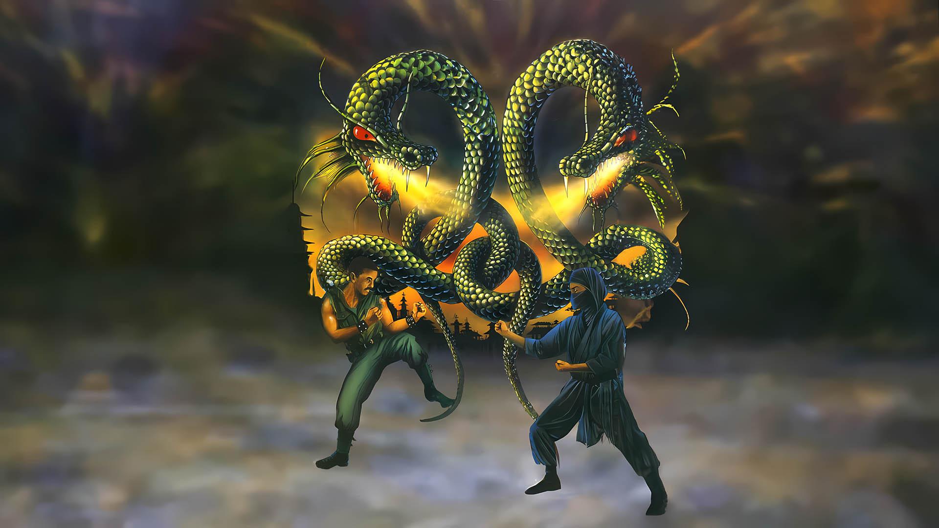 Double Dragon 3 - The Rosetta Stone — fanart