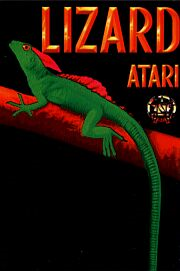 Lizard box art