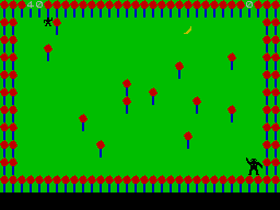 Evolution 2 — ss (WOR)