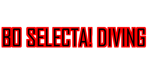 Bo Selecta! Diving — wheel-hd (SS)