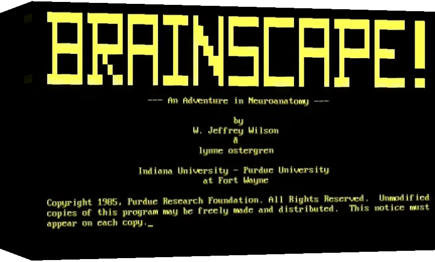 Brainscape — box-3D (WOR)
