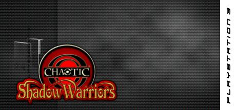 Chaotic - Shadow Warriors — steamgrid