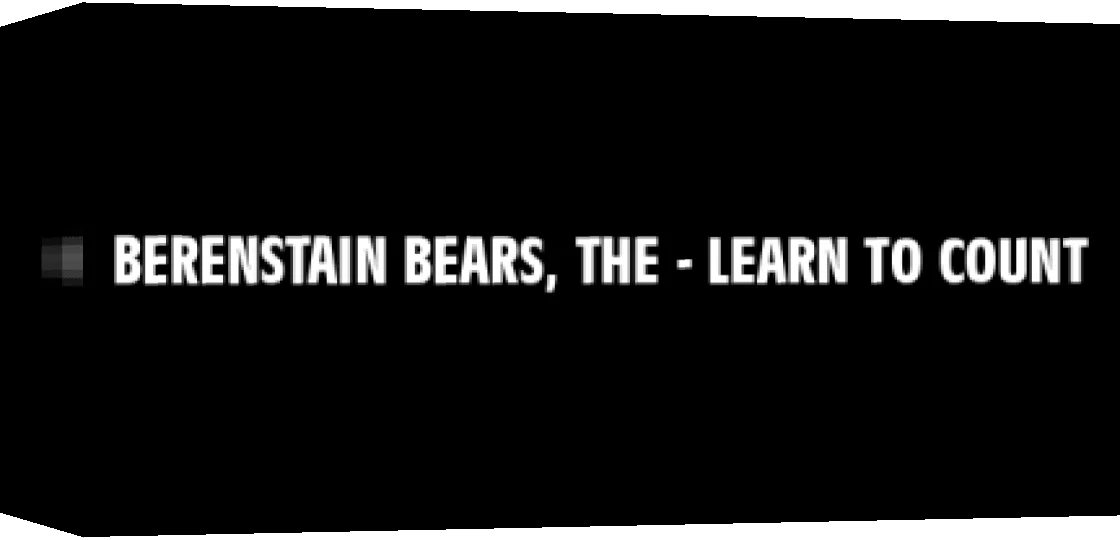 Berenstain Bears, The - Learn to Count — box-3D (WOR)