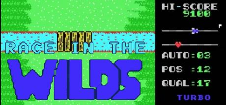 Race In The Wilds — steamgrid