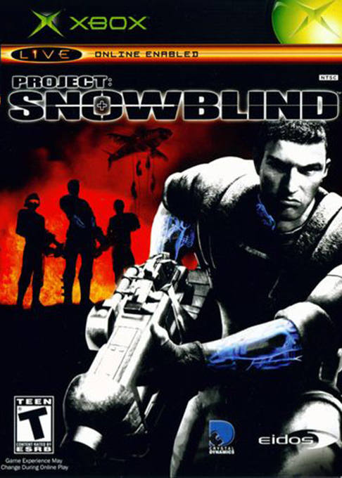 Project - Snowblind box art