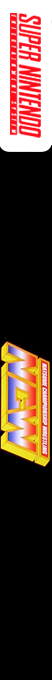 Natsume Championship Wrestling — box-2D-side (US)