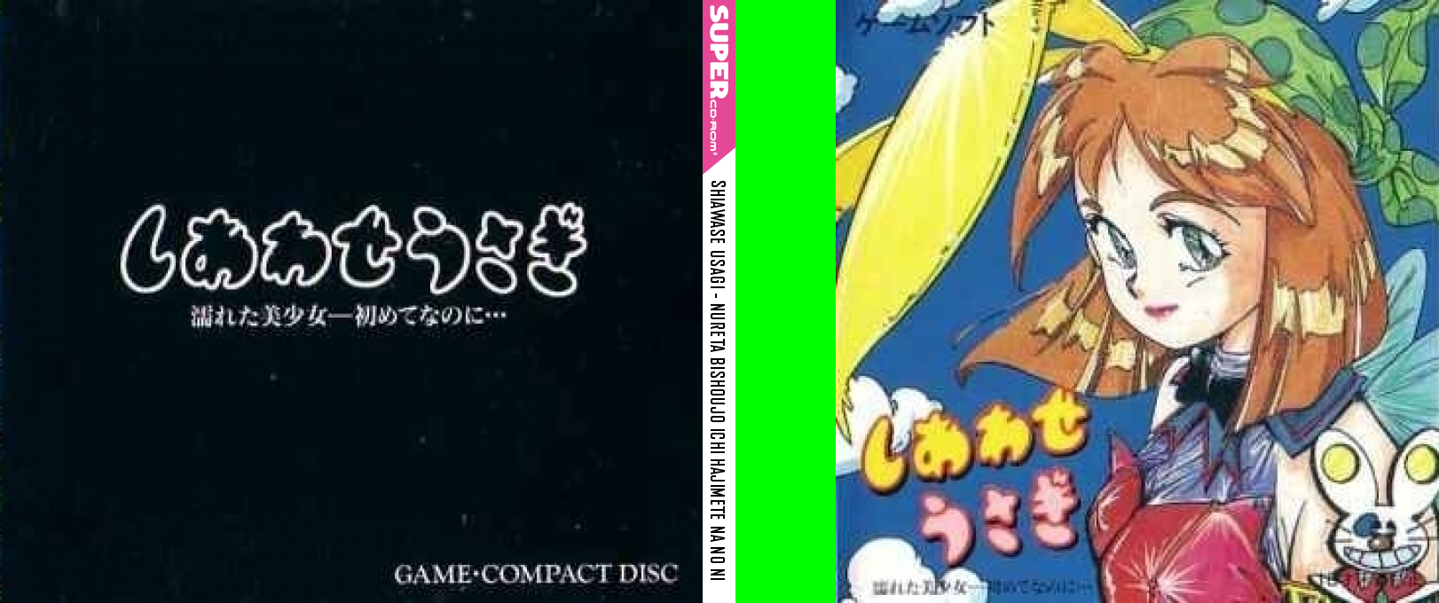 Shiawase Usagi - Nureta Bishoujo Ichi Hajimete Na No Ni — box-texture (JP)