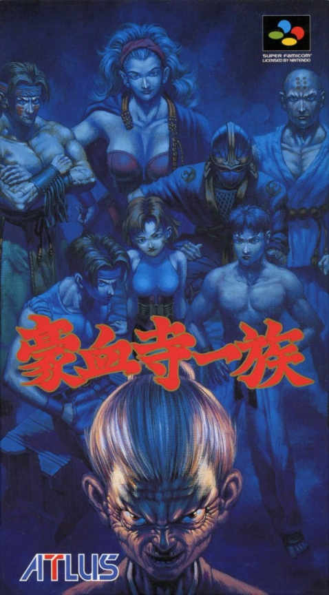 Power Instinct — box-2D (JP)