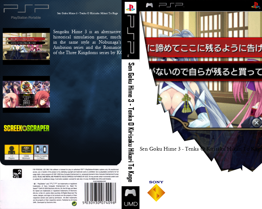Sengoku Hime 3 - Tenka o Kirisaku Hikari to Kage — box-texture (SS)