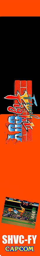 Final Fight Guy — box-2D-side (JP)