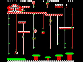 Zany Kong Junior — ss (WOR)