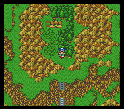 Dragon Quest 6 — ss (WOR)