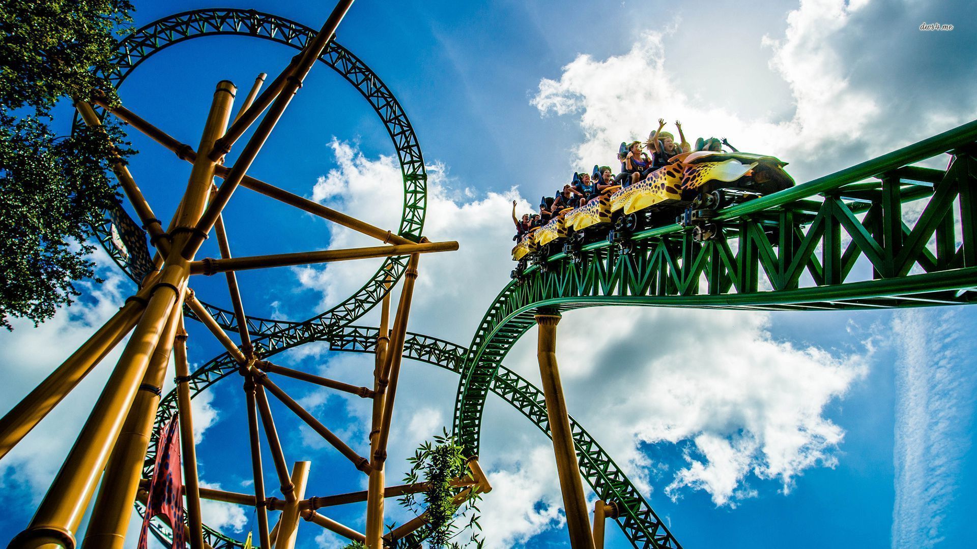 Roller Coaster — fanart