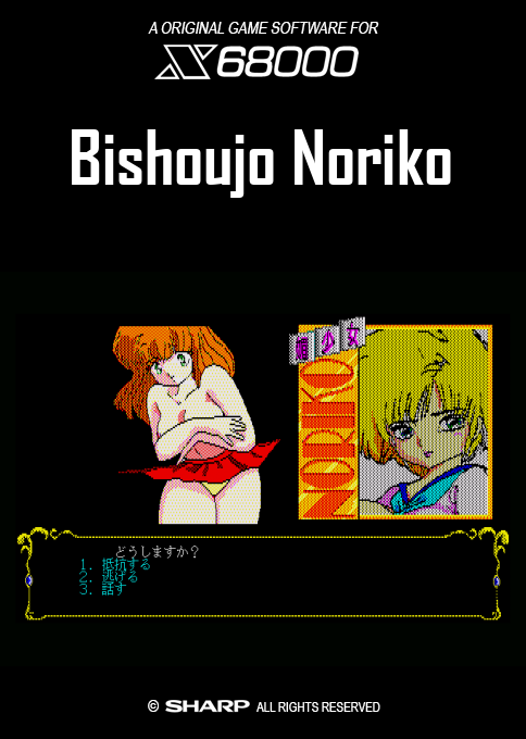 Bishoujo Noriko — box-2D (SS)