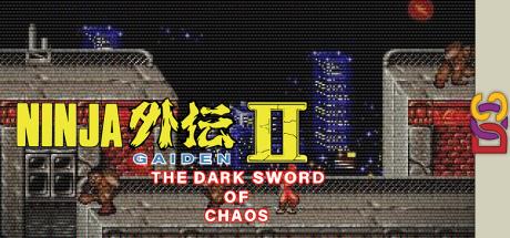 Ninja Gaiden 2 - The Dark Sword Of Chaos — steamgrid