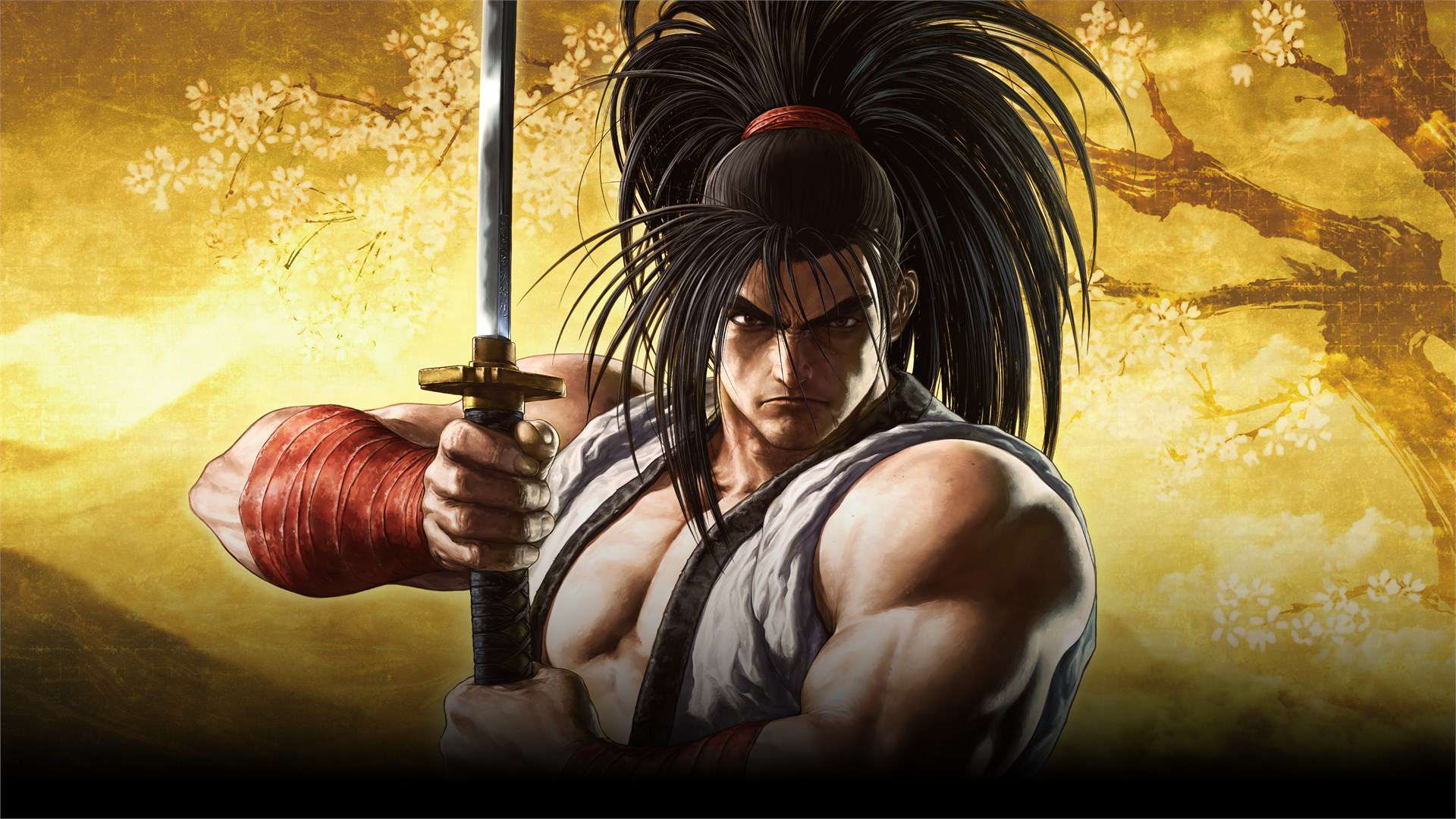 Aca Neogeo Samurai Shodown — fanart