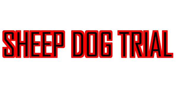 Sheep Dog Trial — wheel-hd (SS)