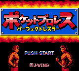 Pocket Pro Wrestling - Perfect Wrestler — sstitle (JP)