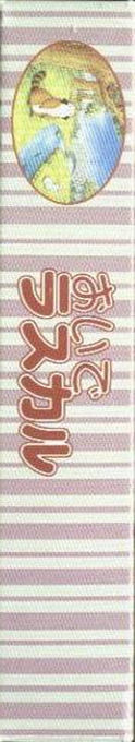 Oide Rascal — box-2D-side (JP)