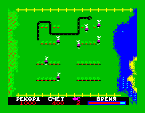 Python — ss (WOR)