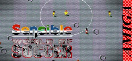 Sensible World of Soccer - Update Disk — steamgrid