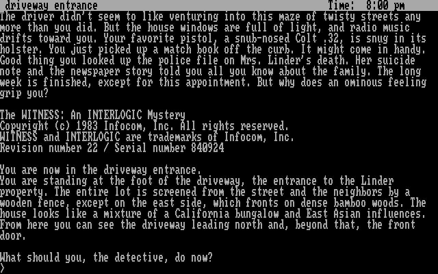 Witness, The — sstitle (US)