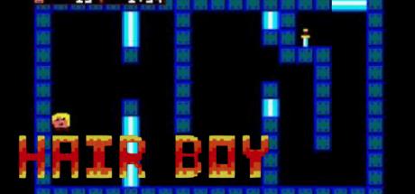 Hair Boy — steamgrid