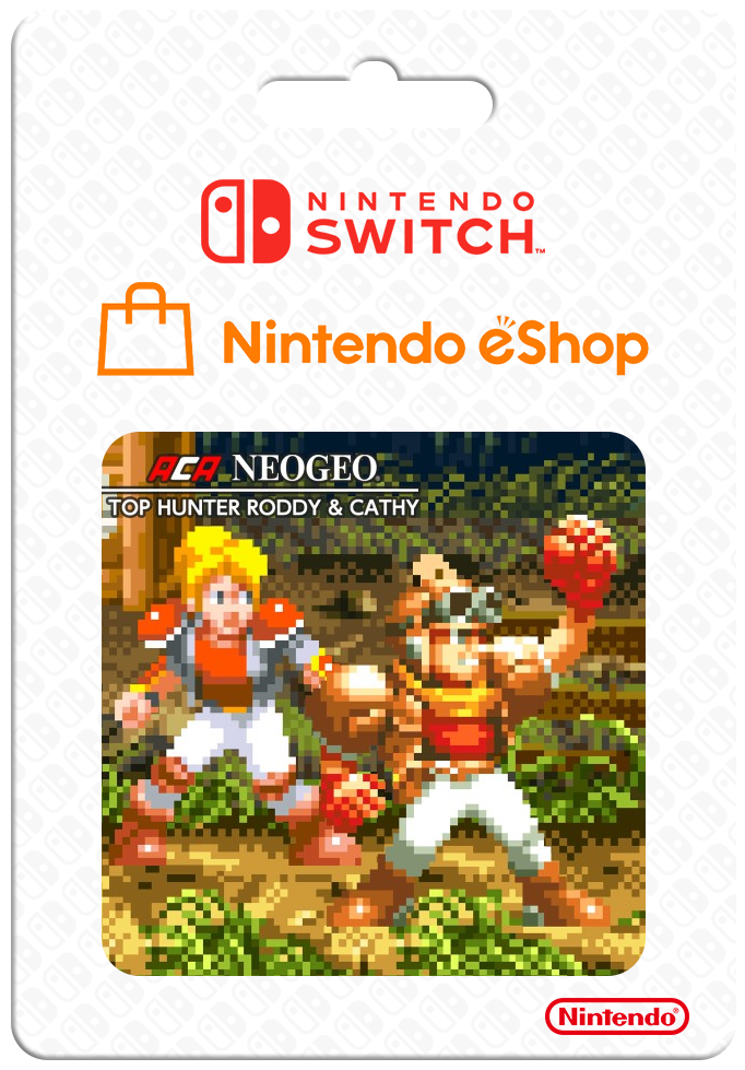 Aca Neogeo Top Hunter Roddy & Cathy — support-2D (CUS)