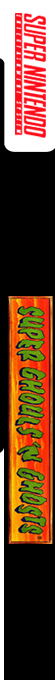 Super Ghouls'n Ghosts — box-2D-side (US)
