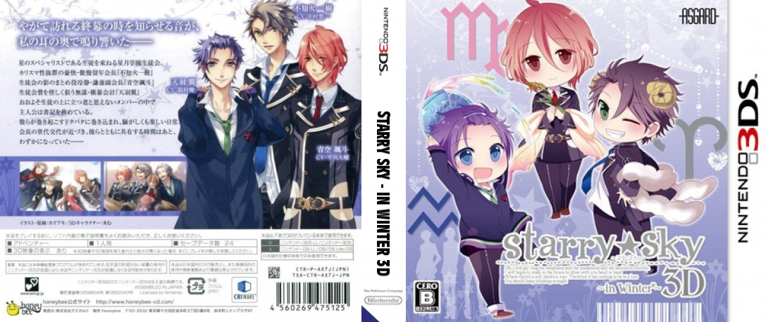 Starry Sky - In Winter 3D — box-texture (JP)