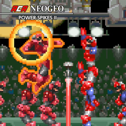 Aca Neogeo Power Spikes 2 — support-texture (CUS)