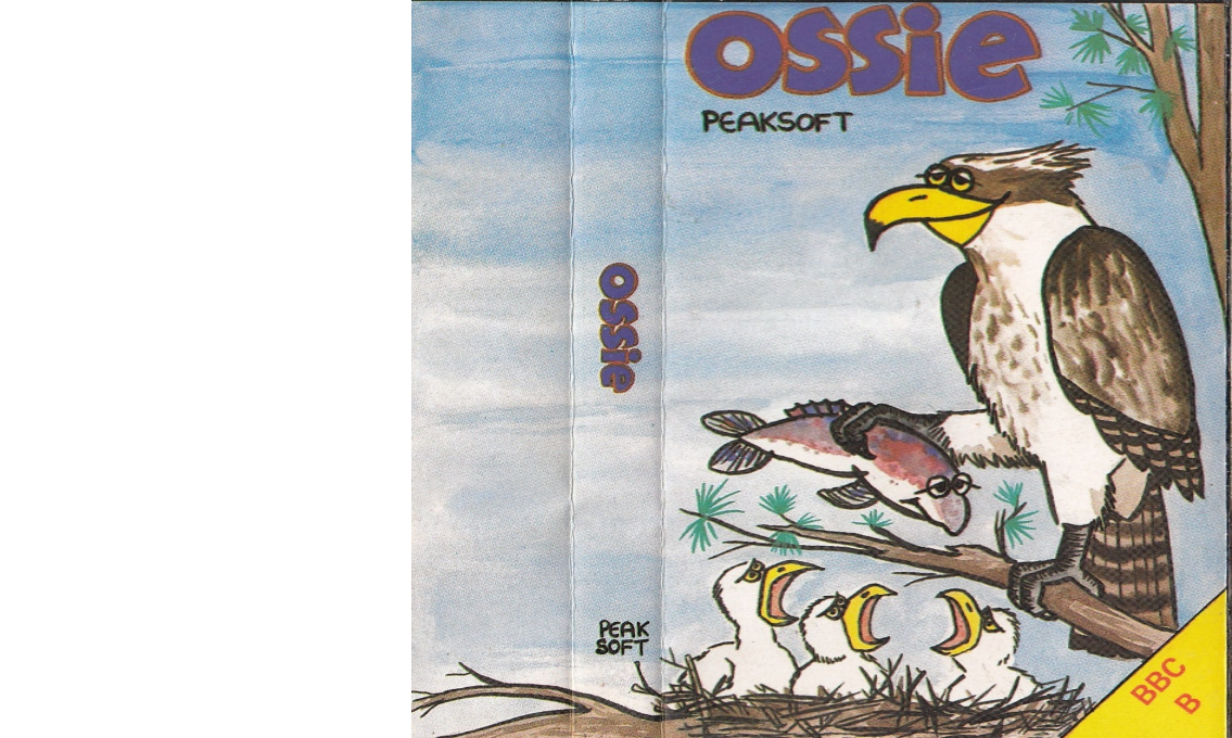 Ossie — box-texture (EU)