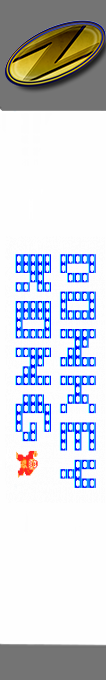 Donkey Kong — box-2D-side (SS)