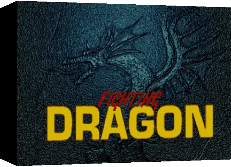 Fighting Dragon — box-3D (WOR)